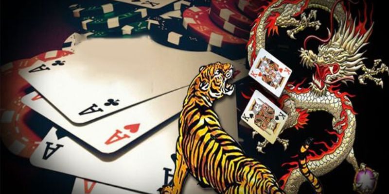Các cửa cược tại rồng hổ